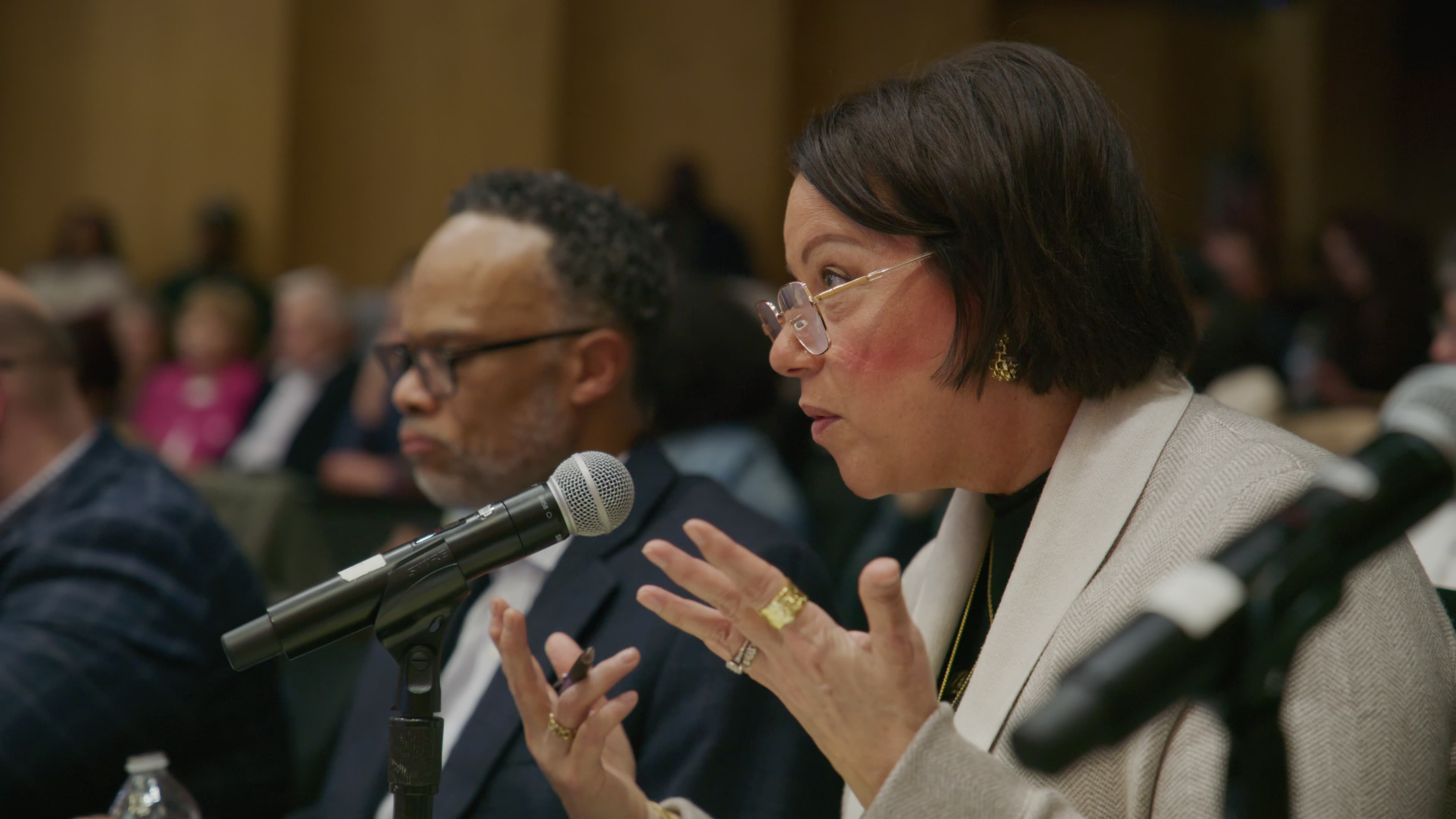 A community advocate speaking at a public meeting